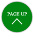 page up